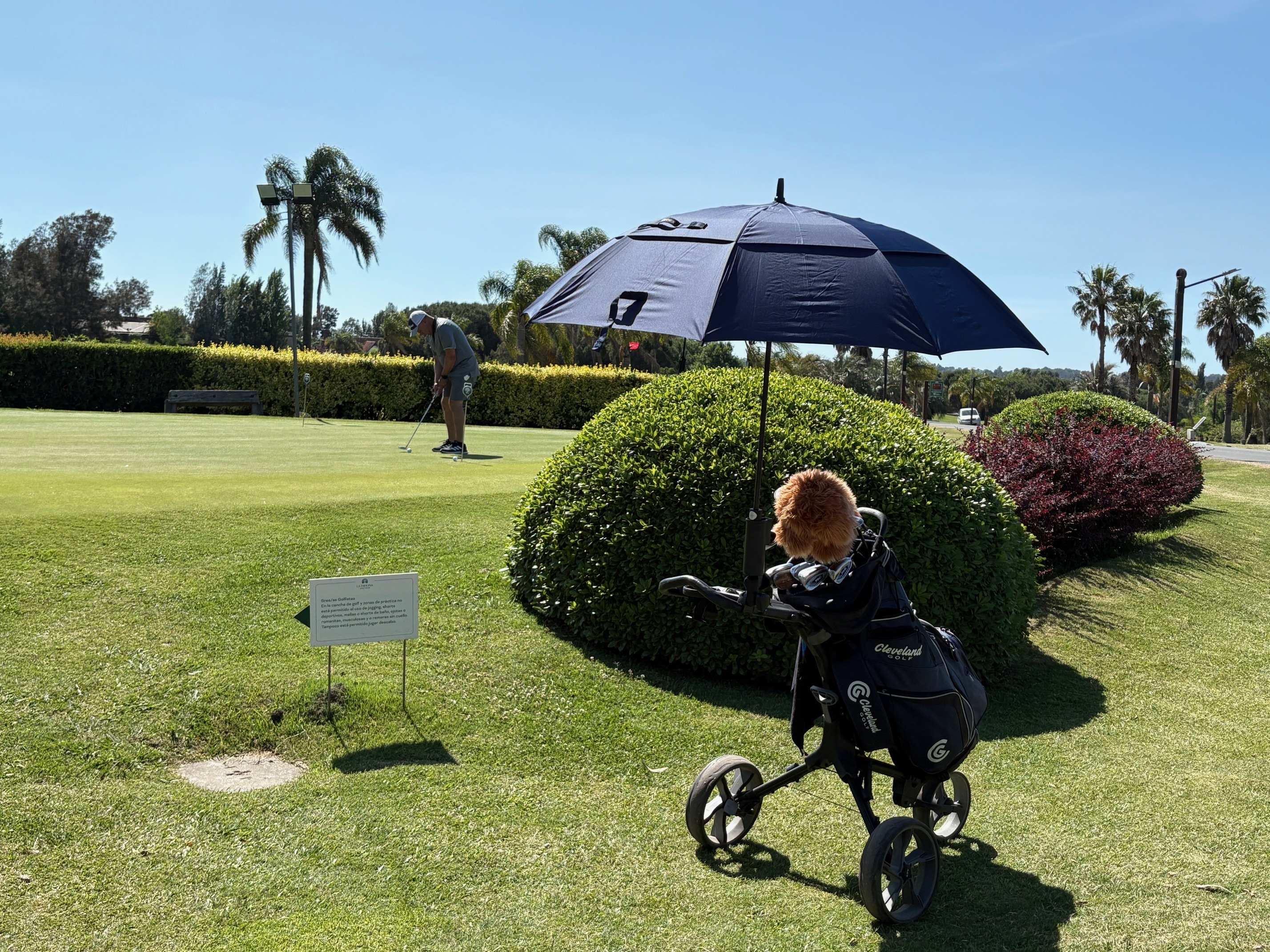 TORNEO TELETÓN URUGUAY -  RESEÑA DEL FLAG COMPETITION -  SÁBADO 15/11