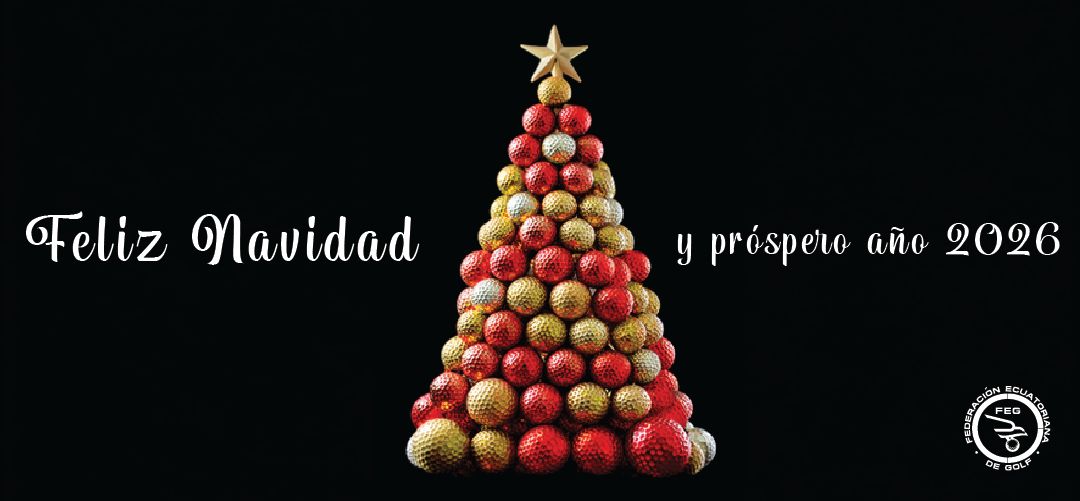 🎄⛳Felices Fiestas ✨✨